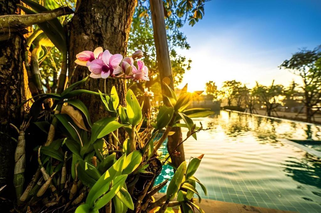 Chatnipa Beach Resort By Morseng Ban Hat Lek Екстер'єр фото